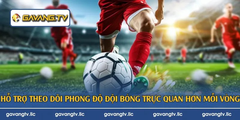 Hỗ trợ theo dõi phong độ đội bóng trực quan hơn mỗi vòng