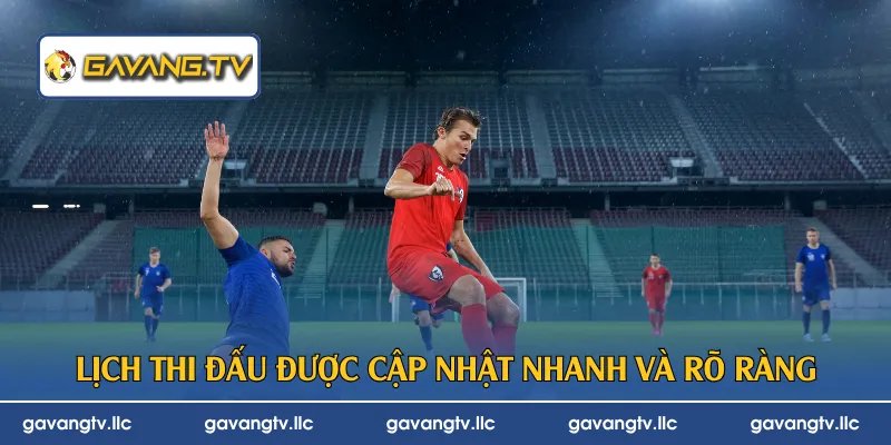 Lịch thi đấu được cập nhật nhanh và rõ ràng