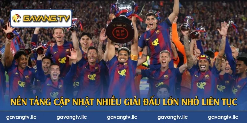 Nền tảng cập nhật nhiều giải đấu lớn nhỏ liên tục