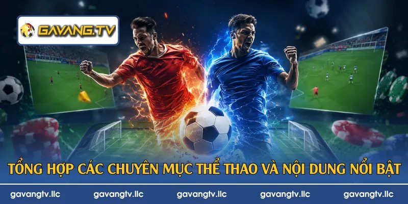 Tổng hợp các chuyên mục thể thao và nội dung nổi bật