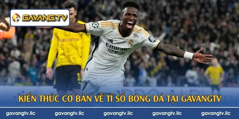 Kiến thức cơ bản về tỉ số bóng đá tại GavangTV