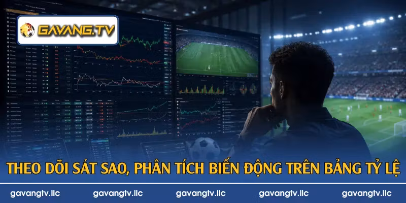 Theo dõi sát sao, phân tích biến động trên bảng tỷ lệ