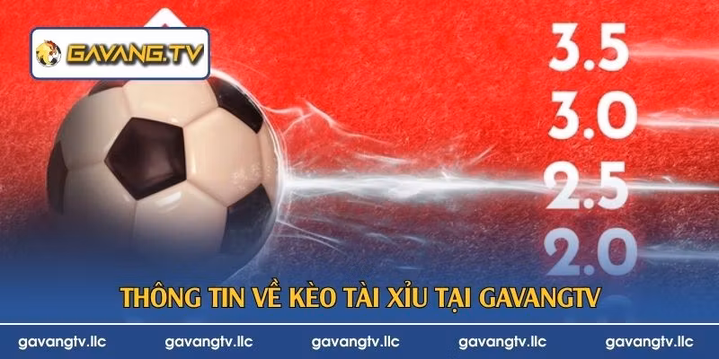 Thông tin về kèo tài xỉu tại GavangTV
